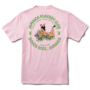 Flower Girl Tee - Pink